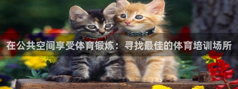 极悦平台用户反馈和反馈：在公共空间享受体育锻炼：寻找