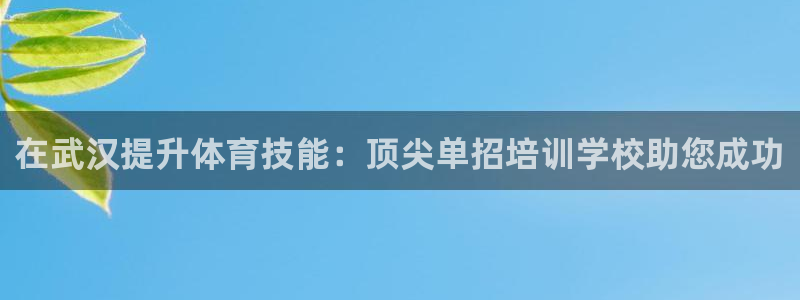 极悦娱乐的内部员工福利：在武汉提升体育技能：顶尖单招