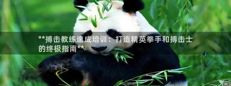 极悦平台代理怎么赚钱：**搏击教练速成培训：打造精英