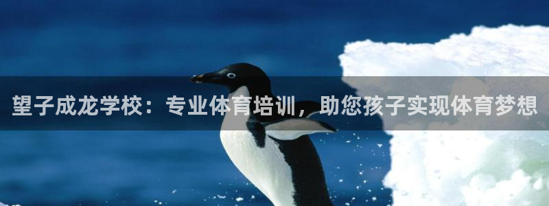 极悦平台使用教程：望子成龙学校：专业体育培训，助您孩
