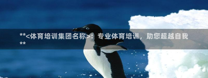 极悦平台布7O777：**<体育培训集团名称>：专业