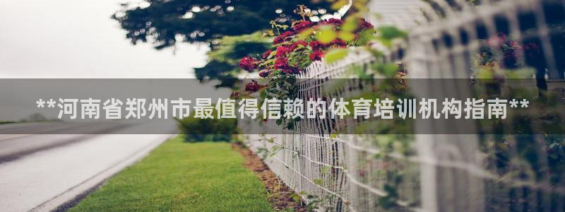 极悦平台客服团队名称：**河南省郑州市最值得信赖的体