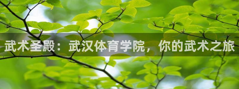 极悦平台注册流程视频：武术圣殿：武汉体育学院，你的武