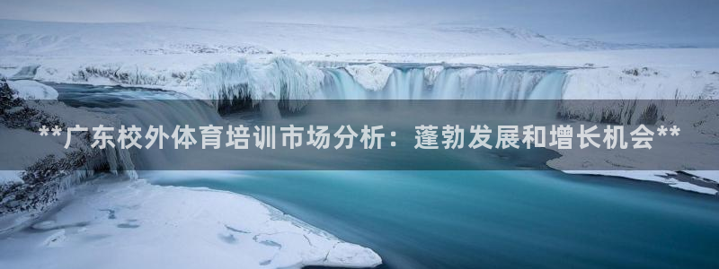 极悦娱乐代理多少钱：**广东校外体育培训市场分析：蓬