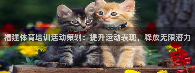 极悦娱乐旗下艺人名单：福建体育培训活动策划：提升运动