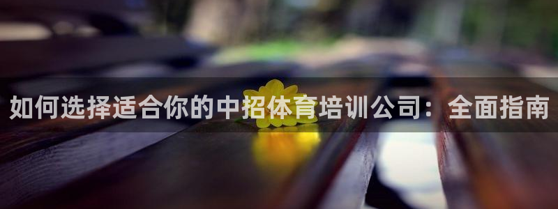 极悦官网登录入口网址：如何选择适合你的中招体育培训公