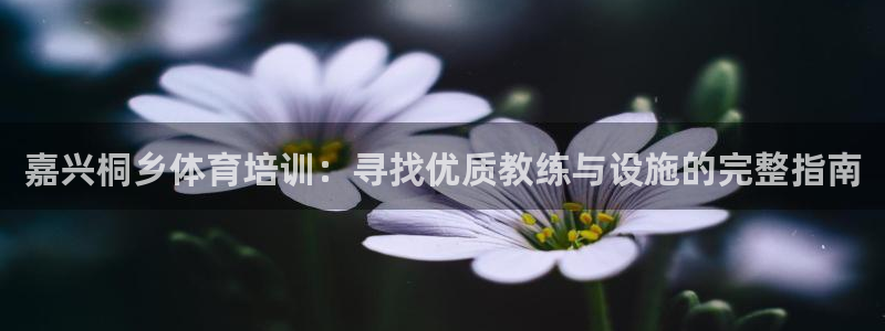 极悦平台代理怎么做赚钱：嘉兴桐乡体育培训：寻找优质教