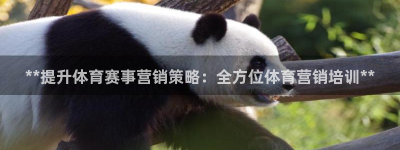 极悦平台官网下载中心网址：**提升体育赛事营销策略：