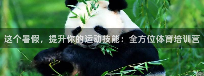 极悦平台注册申请流程详解图：这个暑假，提升你的运动技