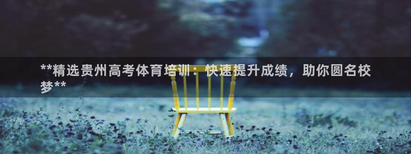 极悦平台官方网站首页：**精选贵州高考体育培训：快速