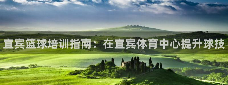 极悦平台使用注意事项有哪些：宜宾篮球培训指南：在宜宾
