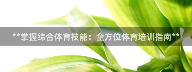 极悦平台和蓝狮平台区别大吗：**掌握综合体育技能：全