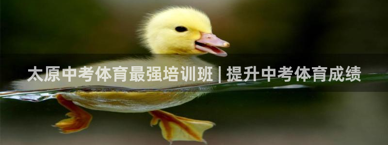 极悦娱乐下载安装手机版：太原中考体育最强培训班 | 