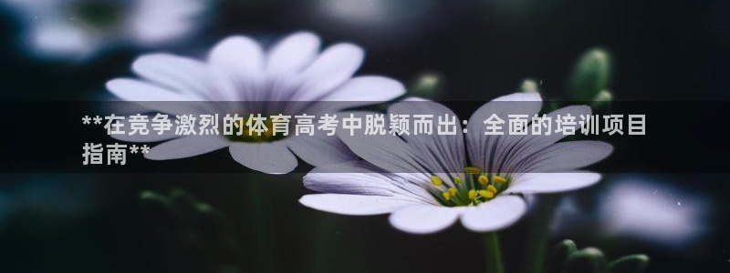 极悦平台客服团队介绍：**在竞争激烈的体育高考中脱颖而出：全