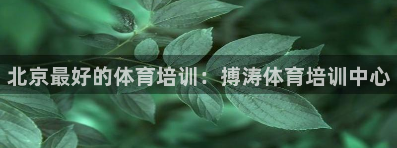 极悦平台官网登录不了怎么办：北京最好的体育培训：搏涛