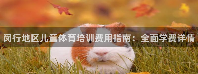 极悦平台官方网站首页：闵行地区儿童体育培训费用指南：