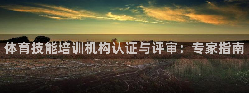 极悦平台官网下载中心app：体育技能培训机构认证与评