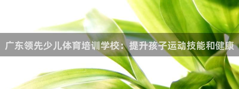 极悦生活家是什么平台：广东领先少儿体育培训学校：提升