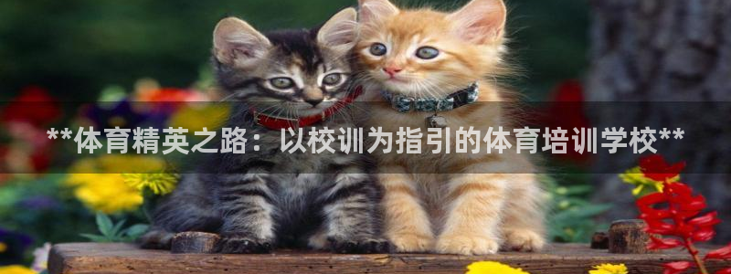 苏州极悦信息科技有限公司：**体育精英之路：以校训为