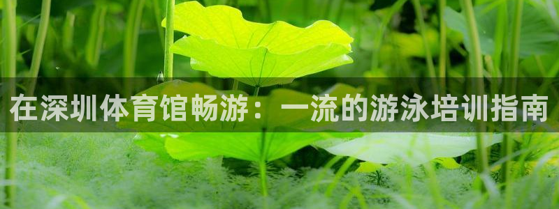 极悦平台客服的联系方式：在深圳体育馆畅游：一流的游泳