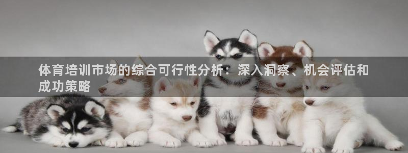 极悦娱乐代理怎么样：体育培训市场的综合可行性分析：深入洞察、
