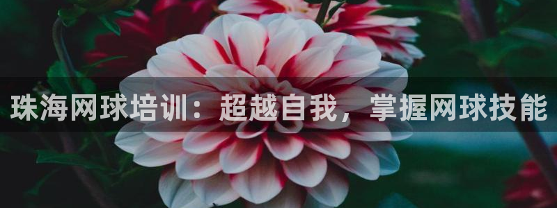 极悦官方网站入口网址：珠海网球培训：超越自我，掌握网