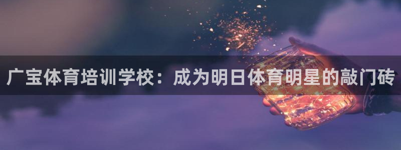 极悦娱乐创始人背景故事介绍：广宝体育培训学校：成为明日体育明