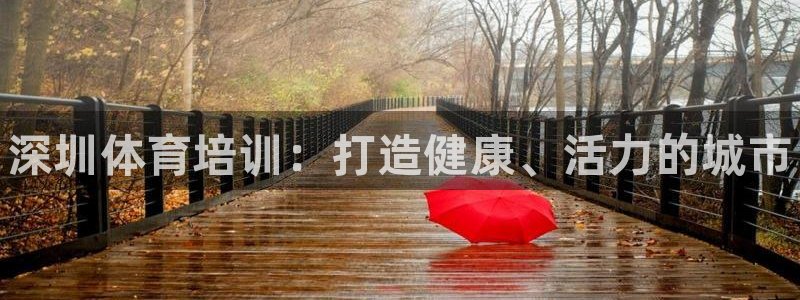 极悦平台注册流程图片：深圳体育培训：打造健康、活力的城市